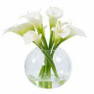 Meet your Posher, Idona